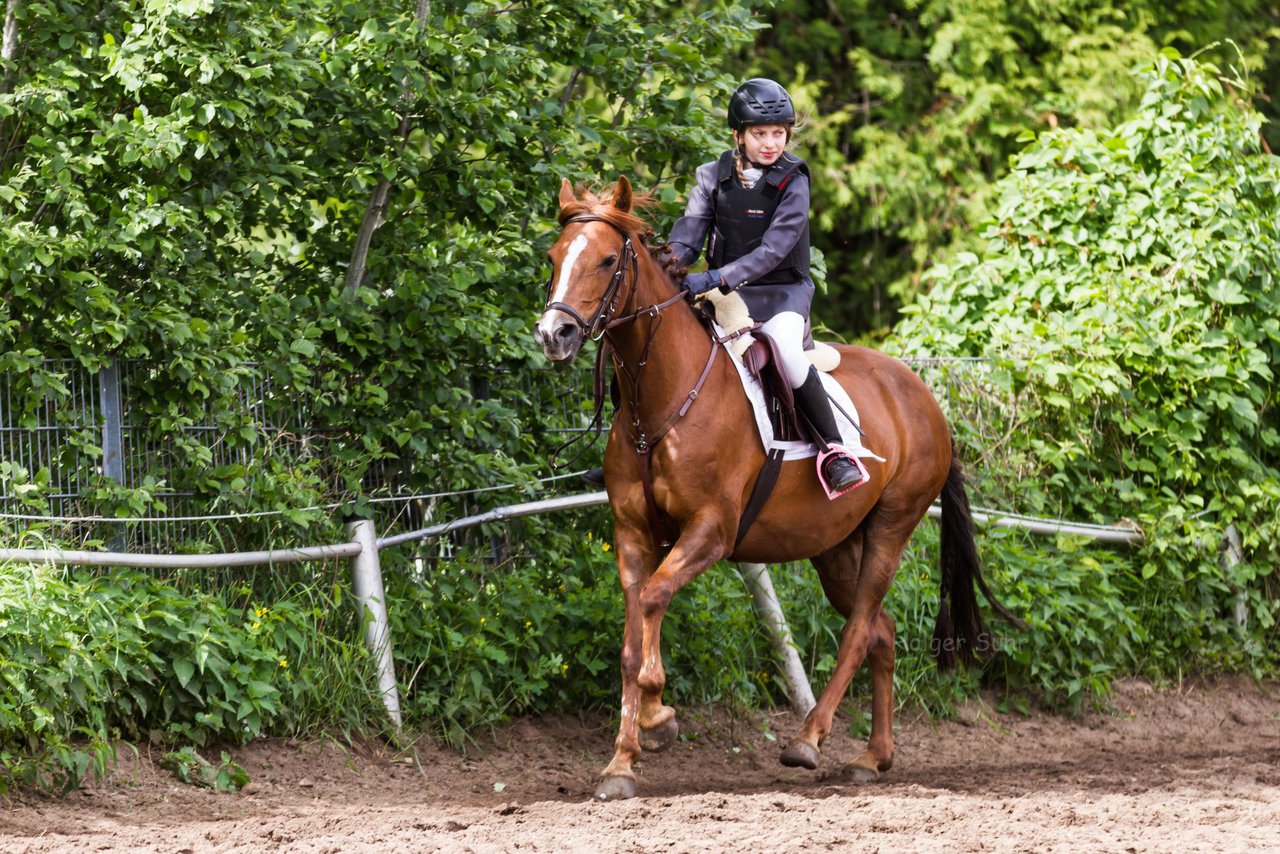 Album: Janssen Tag d.o. Tür am 2.6.13 - Reitschule Janßen Tag der offenen Tür und 25-jahriges Jubiläum